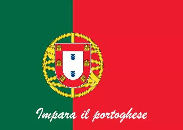 Formation Portugais (Tous niveaux), Troyes, FORMALOGY